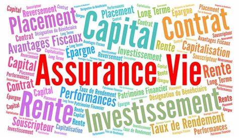 l'image nous montre les différents terme d'une assurance vie