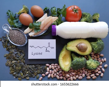 aliment riche en lysine
