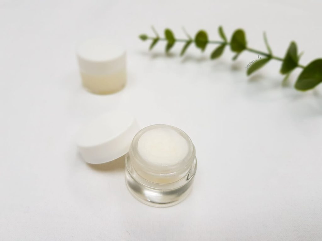 baume a lèvre pour anticipé les feu sauvage dans un pot transparent accompagné dune plante a l'arrière plan pour souligné qu'il s'agit d'un produit naturel.